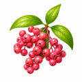PIMENTA ROSA