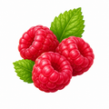 Framboesa