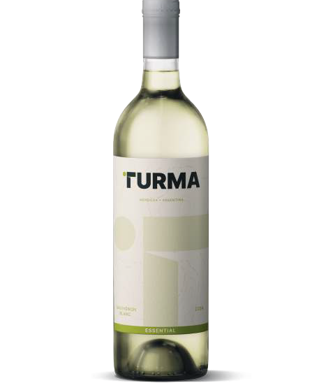 Sauvignon Blanc Essential - 2025